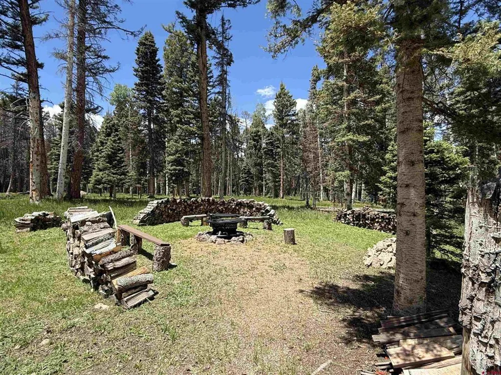601 Balsam Road Cimarron, CO 81220