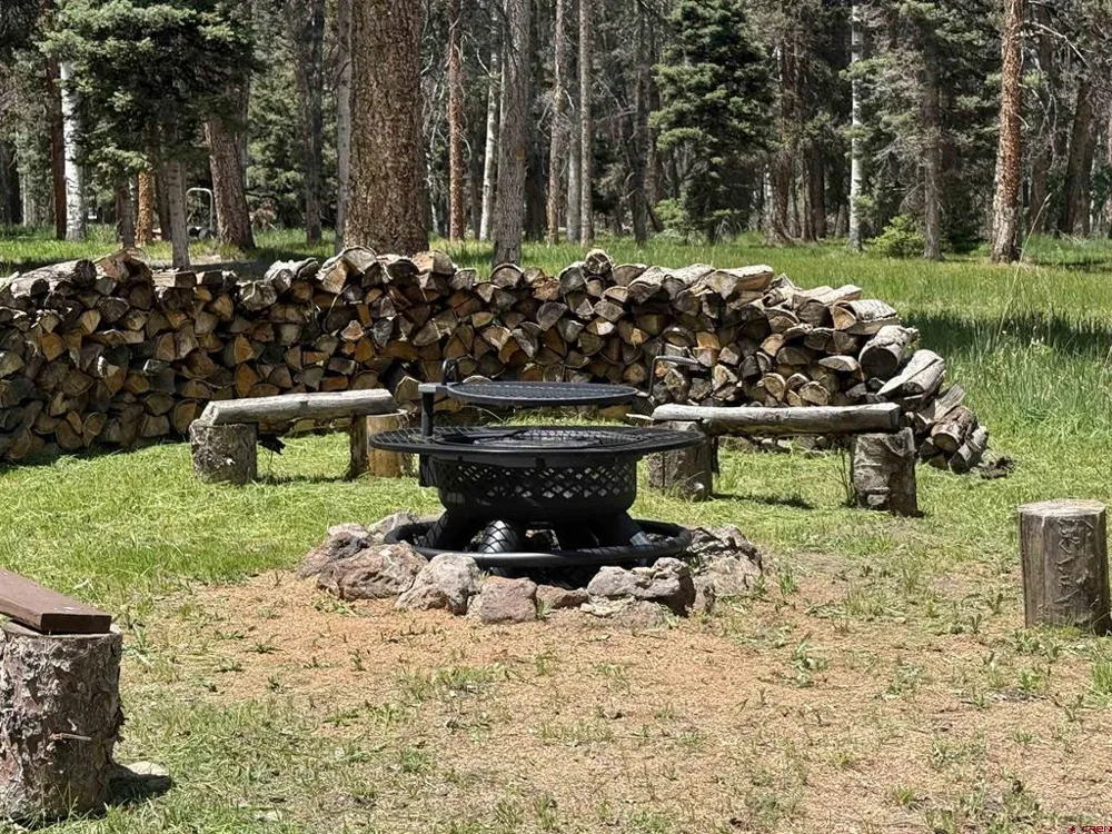 601 Balsam Road Cimarron, CO 81220
