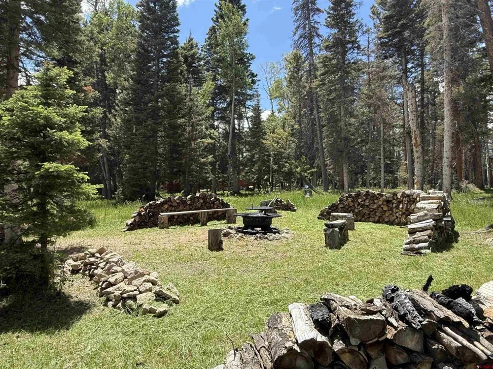 601 Balsam Road Cimarron, CO 81220