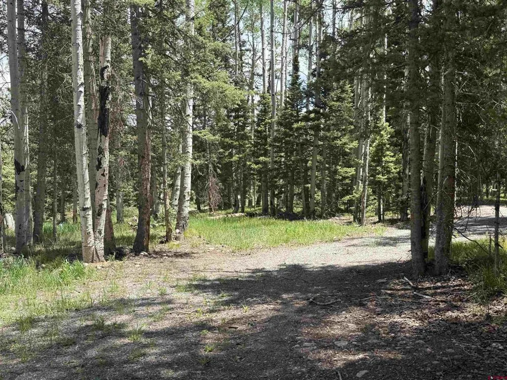 601 Balsam Road Cimarron, CO 81220