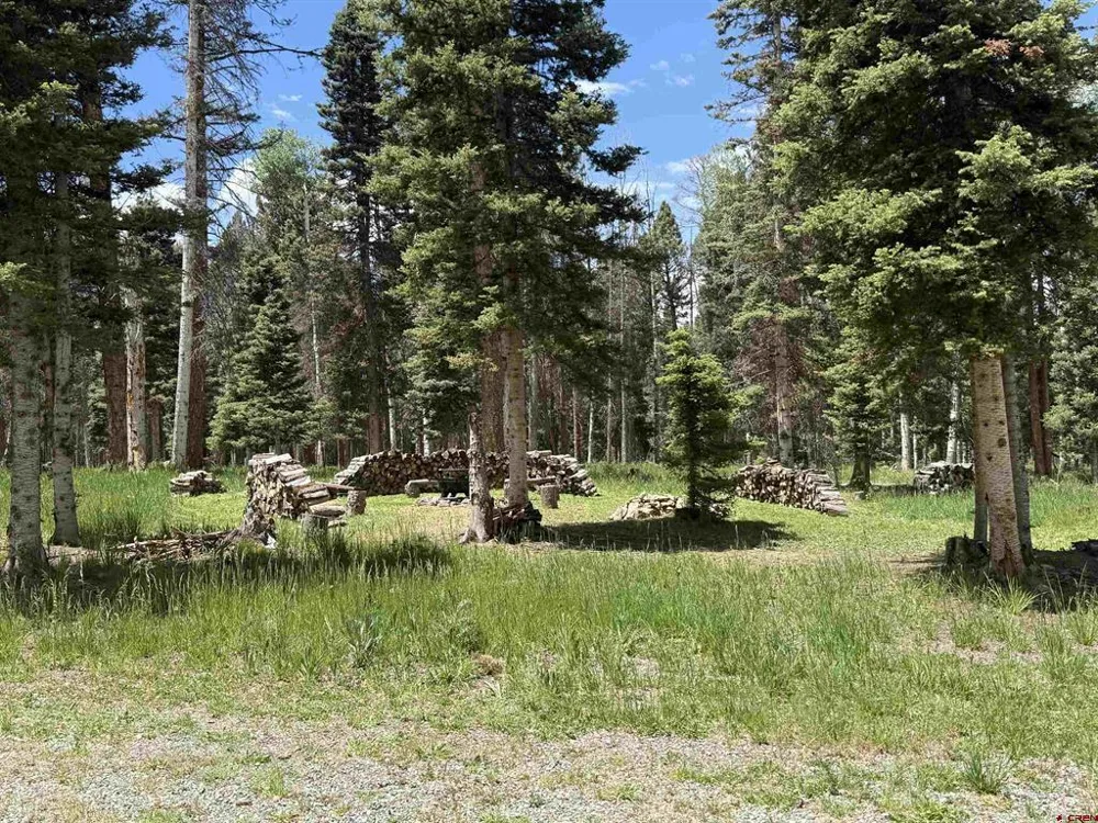 601 Balsam Road Cimarron, CO 81220