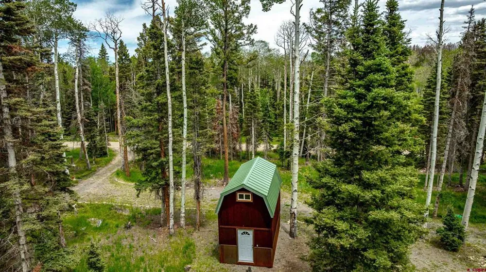601 Balsam Road Cimarron, CO 81220