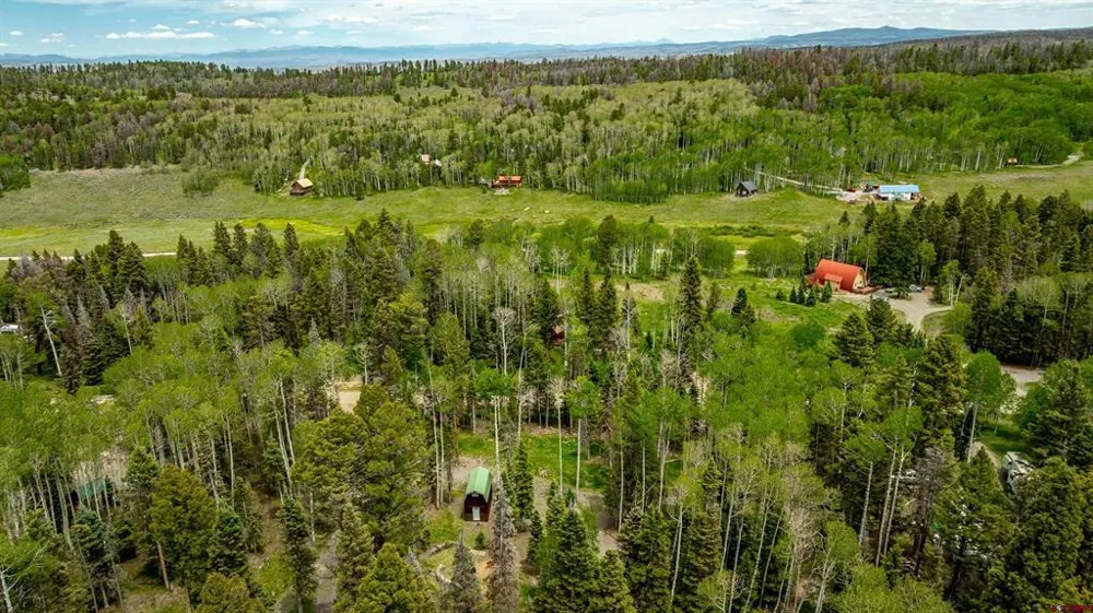 601 Balsam Road Cimarron, CO 81220