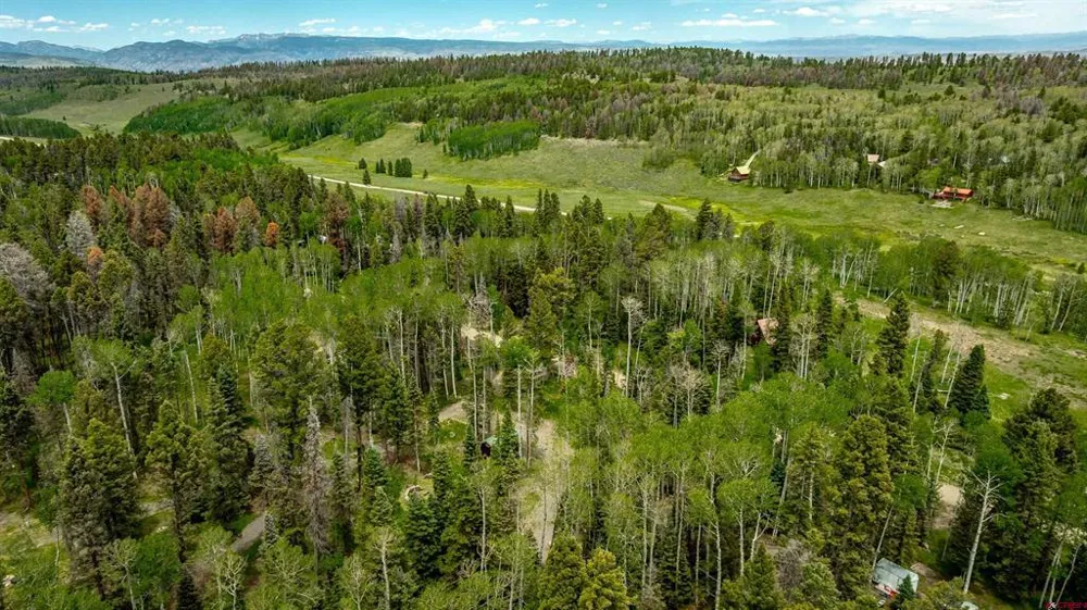 601 Balsam Road Cimarron, CO 81220