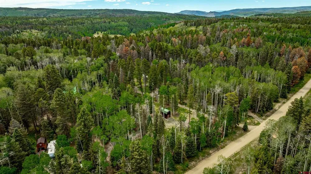 601 Balsam Road Cimarron, CO 81220