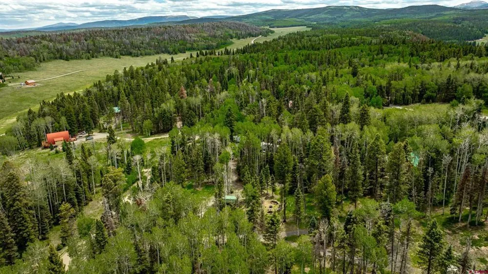 601 Balsam Road Cimarron, CO 81220