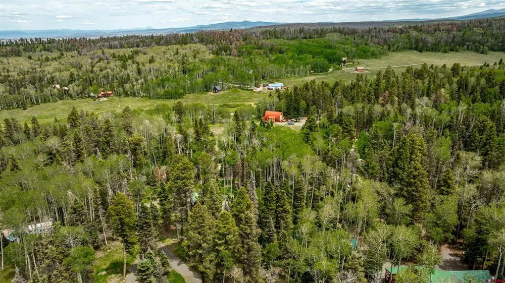 601 Balsam Road Cimarron, CO 81220