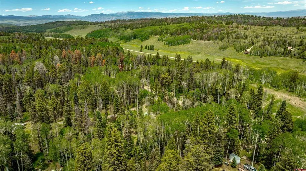 601 Balsam Road Cimarron, CO 81220