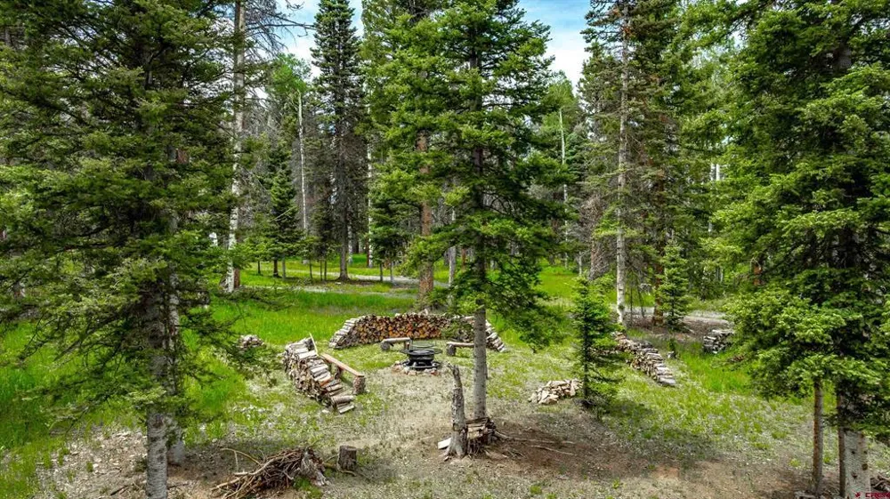 601 Balsam Road Cimarron, CO 81220
