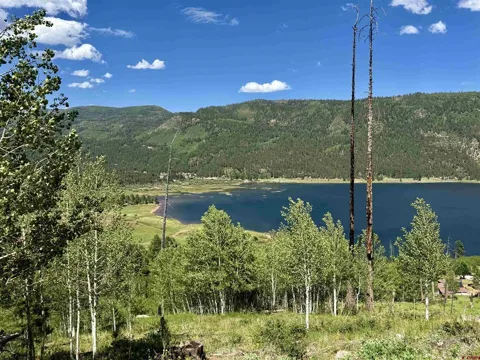CR 501