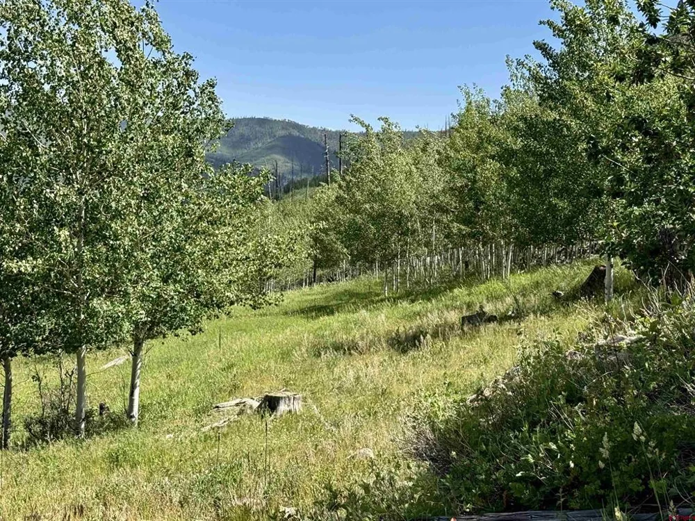 CR 501 Bayfield, CO 81122