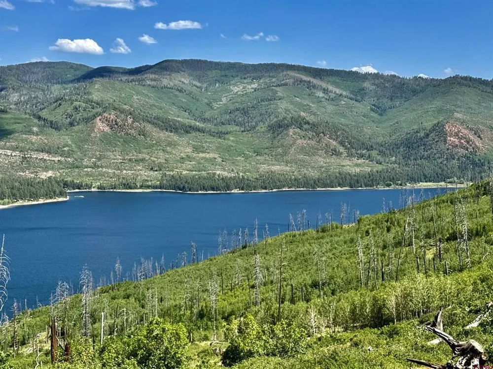 CR 501 Bayfield, CO 81122