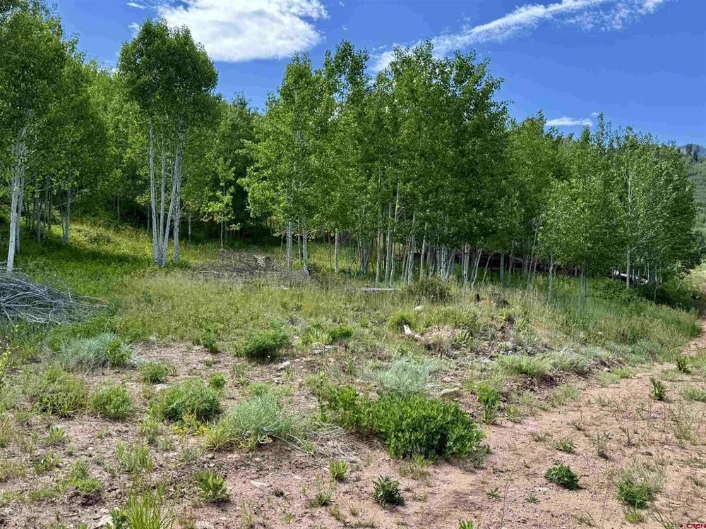CR 501 Bayfield, CO 81122