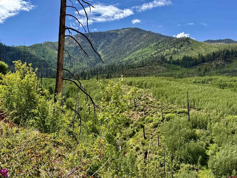 CR 501 Bayfield, CO 81122