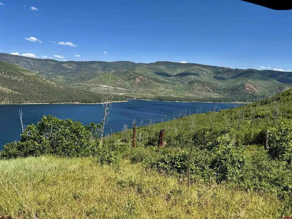 CR 501 Bayfield, CO 81122