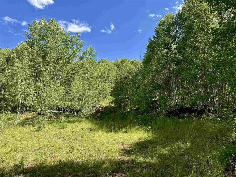 CR 501 Bayfield, CO 81122