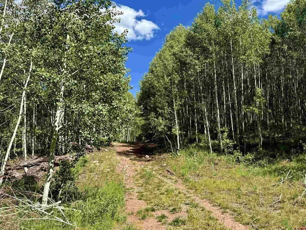 CR 501 Bayfield, CO 81122