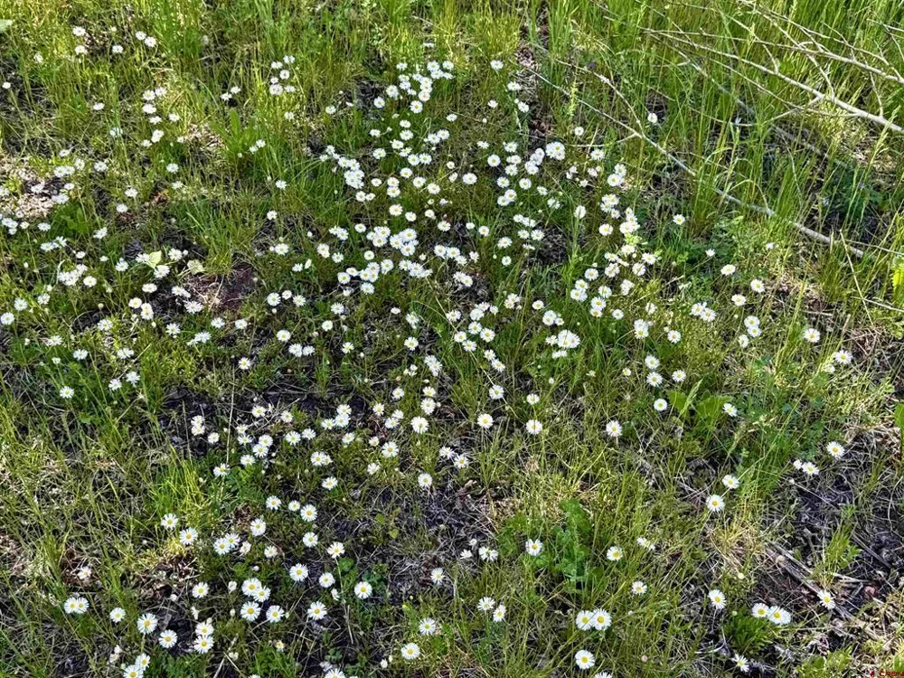 CR 501 Bayfield, CO 81122