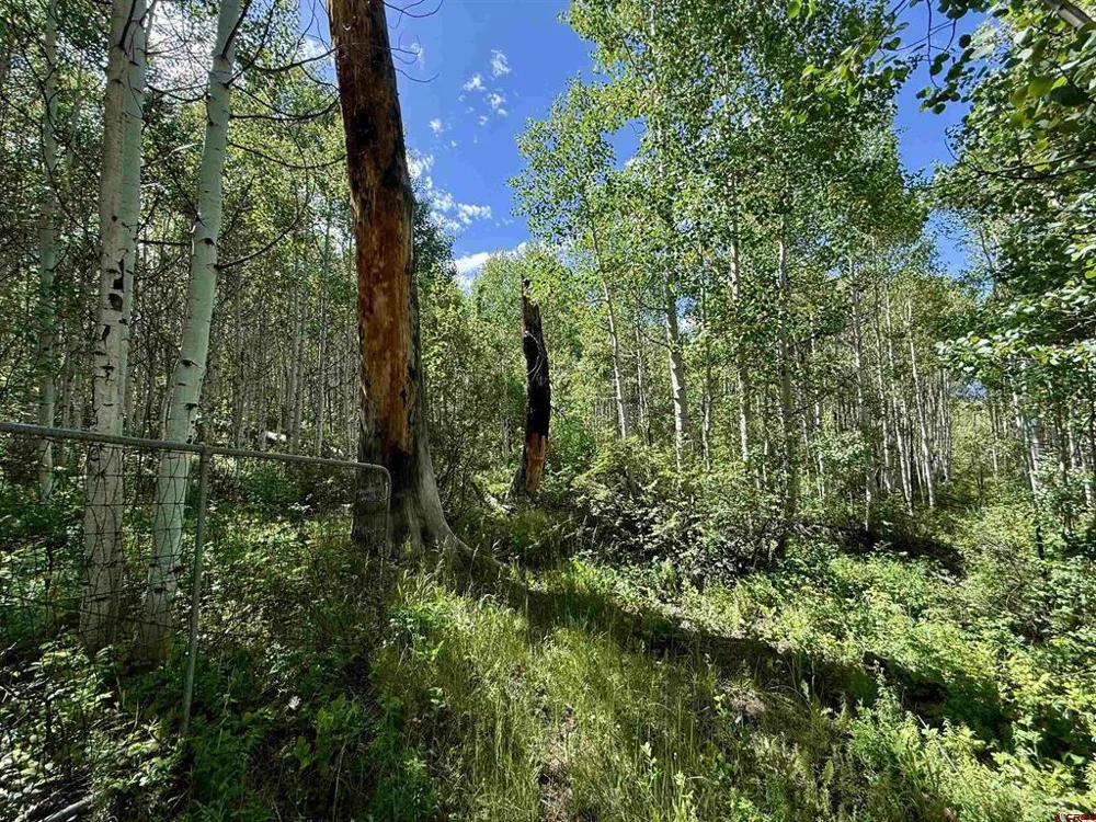 CR 501 Bayfield, CO 81122
