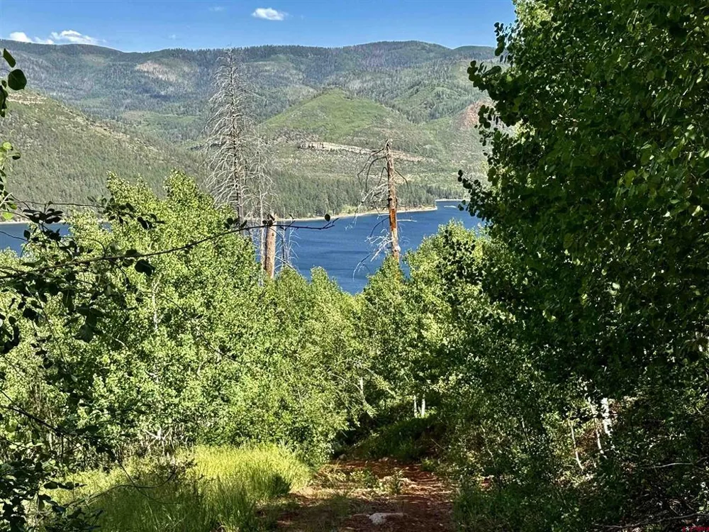 CR 501 Bayfield, CO 81122