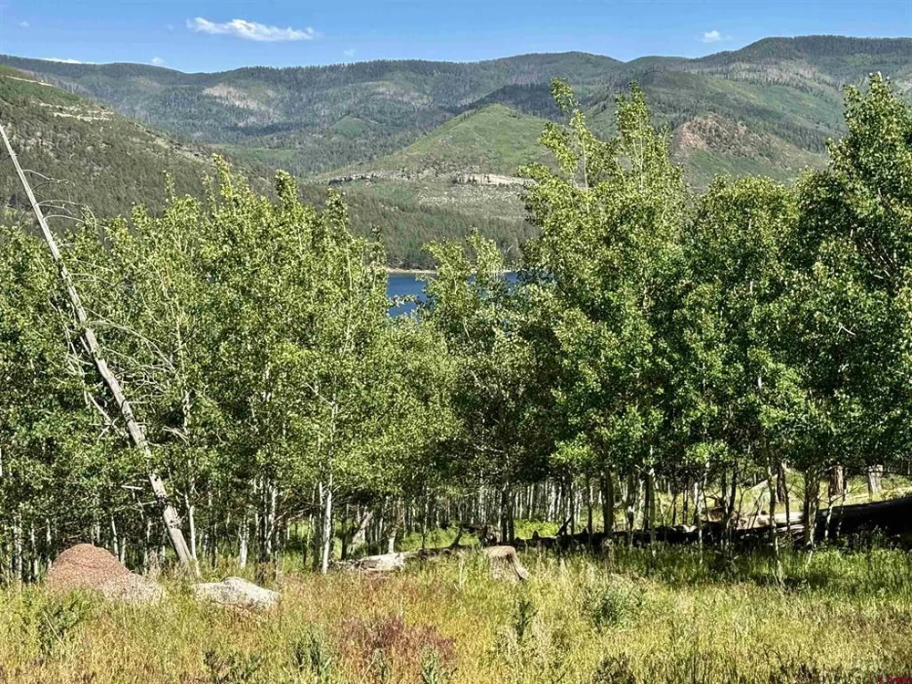 CR 501 Bayfield, CO 81122