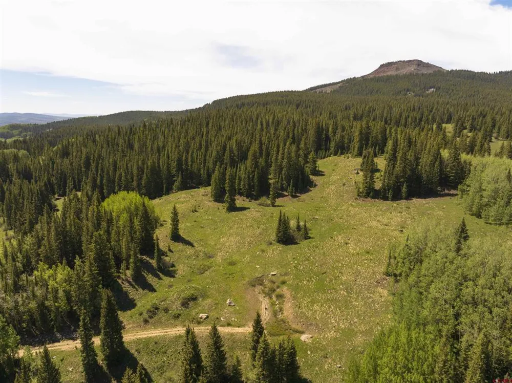 1371 Red Mountain Ranch Upper Loop Crested Butte, CO 81224