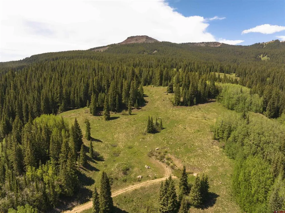 1371 Red Mountain Ranch Upper Loop Crested Butte, CO 81224
