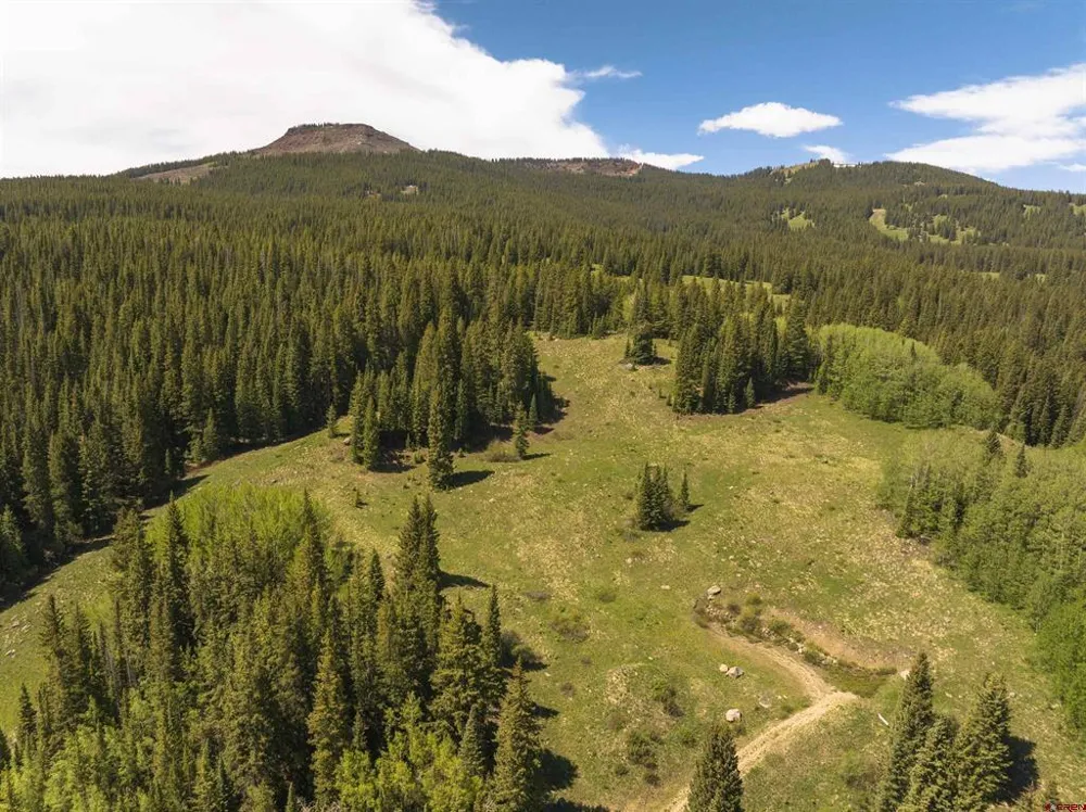 1371 Red Mountain Ranch Upper Loop Crested Butte, CO 81224