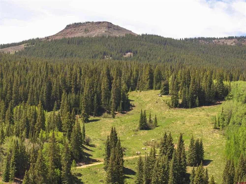 1371 Red Mountain Ranch Upper Loop Crested Butte, CO 81224