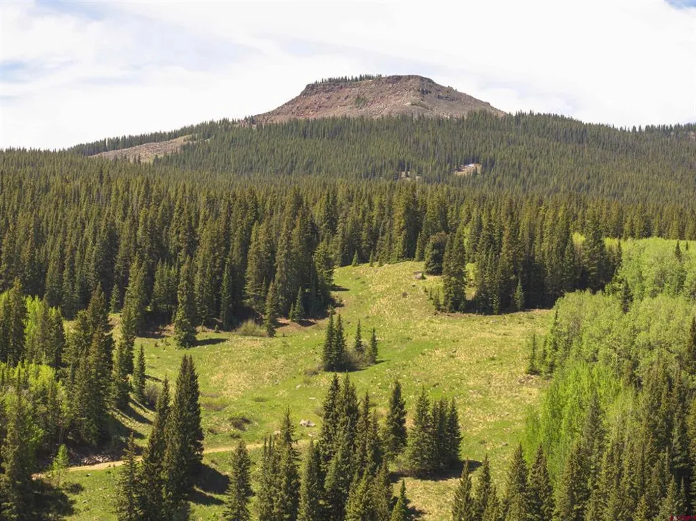 1371 Red Mountain Ranch Upper Loop Crested Butte, CO 81224