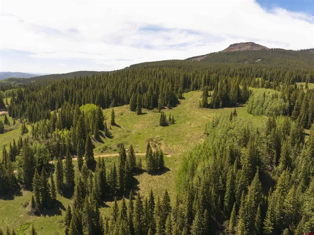 1371 Red Mountain Ranch Upper Loop Crested Butte, CO 81224