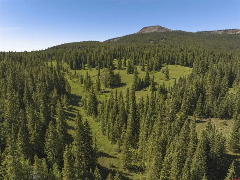 1371 Red Mountain Ranch Upper Loop Crested Butte, CO 81224
