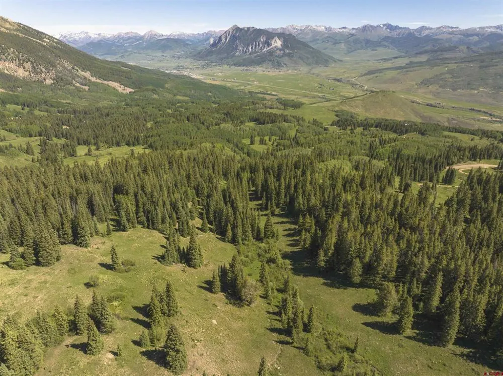 1371 Red Mountain Ranch Upper Loop Crested Butte, CO 81224