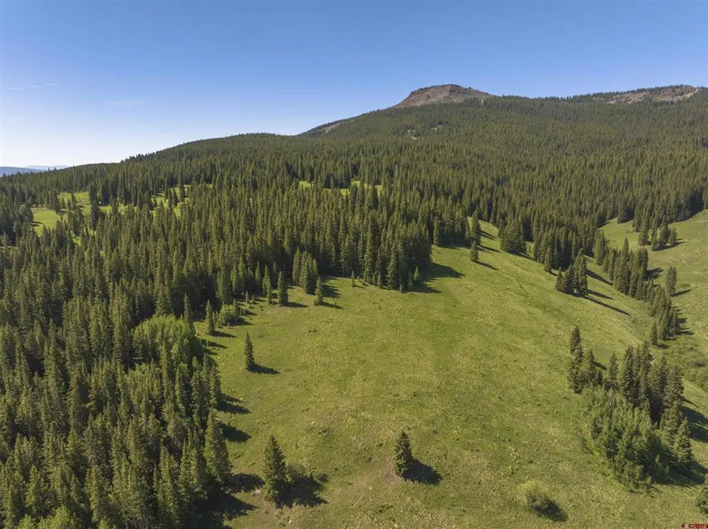 1371 Red Mountain Ranch Upper Loop Crested Butte, CO 81224
