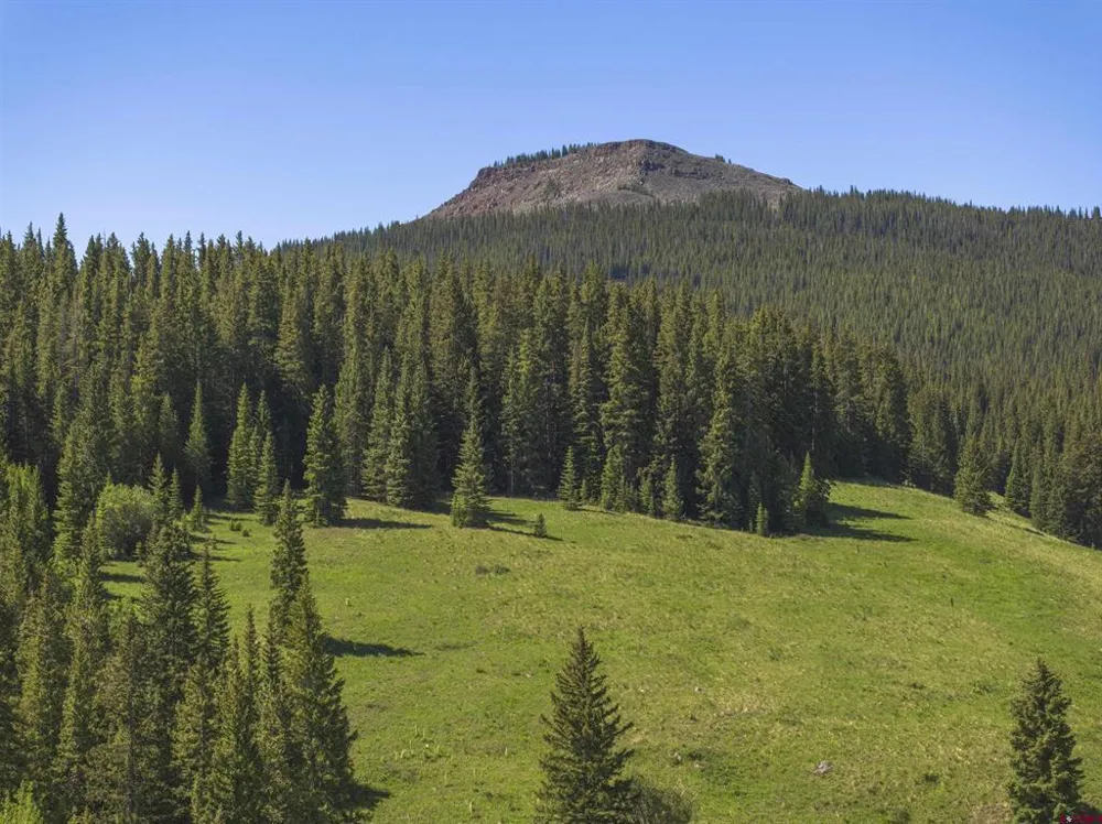 1371 Red Mountain Ranch Upper Loop Crested Butte, CO 81224