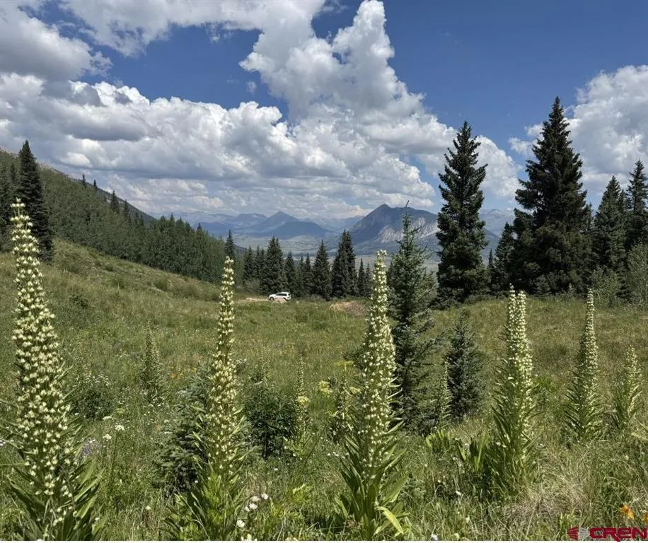 1371 Red Mountain Ranch Upper Loop Crested Butte, CO 81224