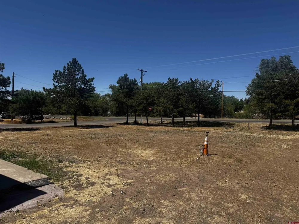 120 NE Fir Avenue Cedaredge, CO 81413