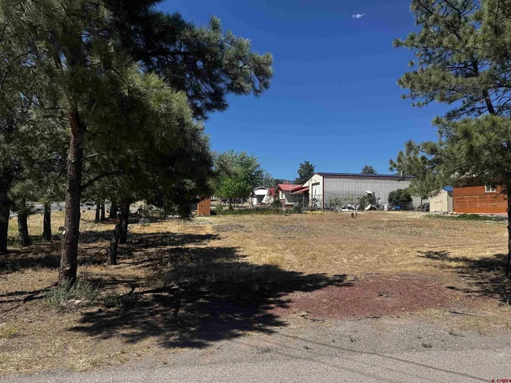 120 NE Fir Avenue Cedaredge, CO 81413