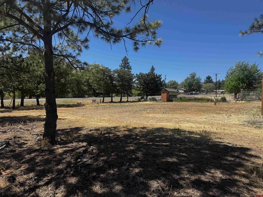 120 NE Fir Avenue Cedaredge, CO 81413