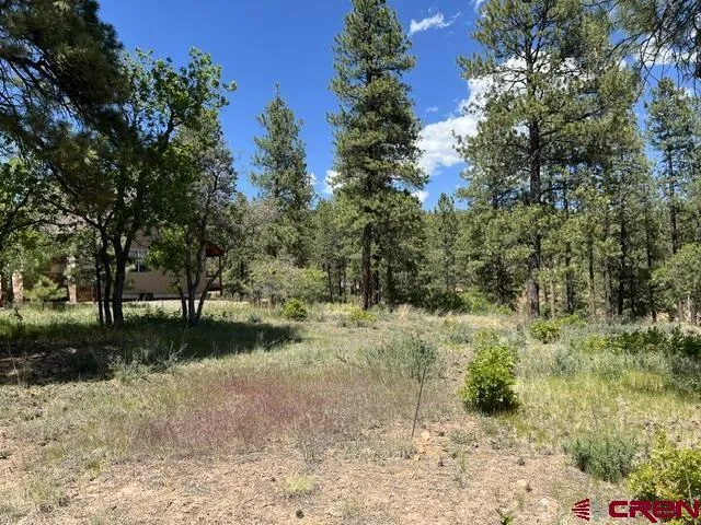 250 Copper Rim Trail Durango, CO 81301