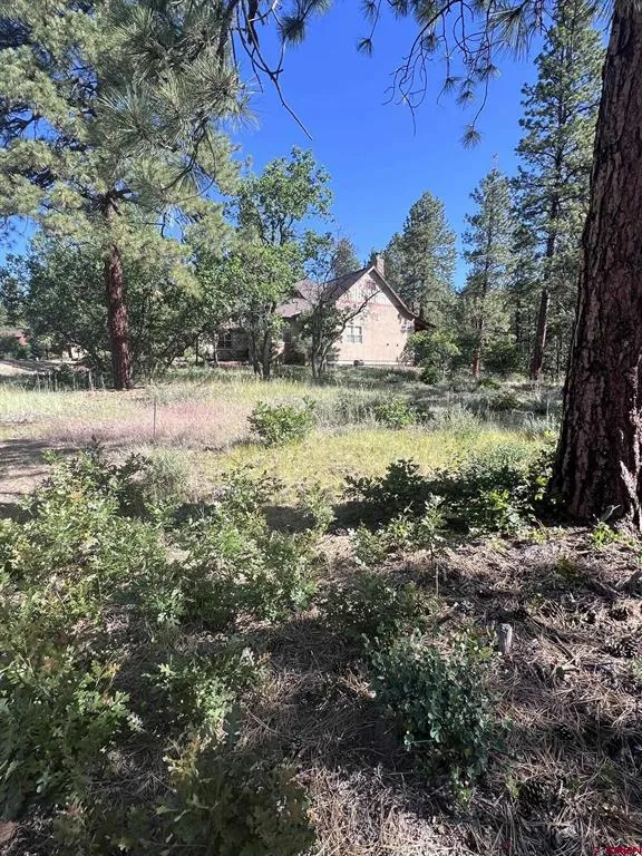 250 Copper Rim Trail Durango, CO 81301