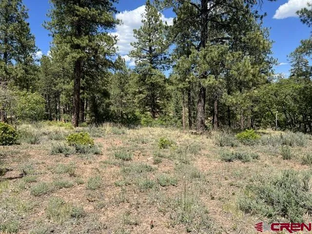250 Copper Rim Trail Durango, CO 81301