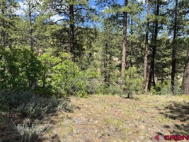 250 Copper Rim Trail Durango, CO 81301