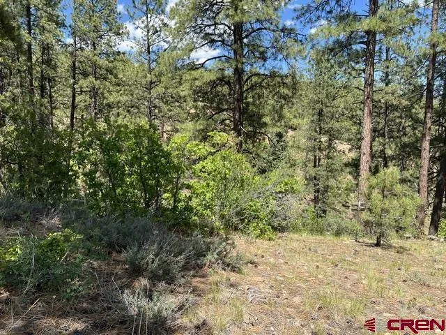 250 Copper Rim Trail Durango, CO 81301