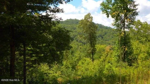 Lot 16 Tyler Ridge