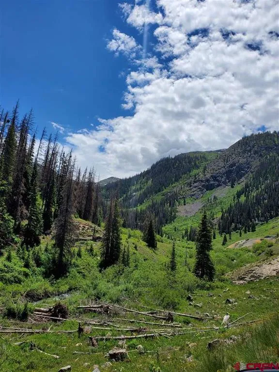 4 Highland Mary Properties Silverton, CO 81433