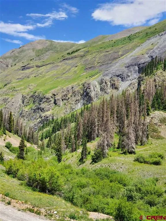 4 Highland Mary Properties Silverton, CO 81433