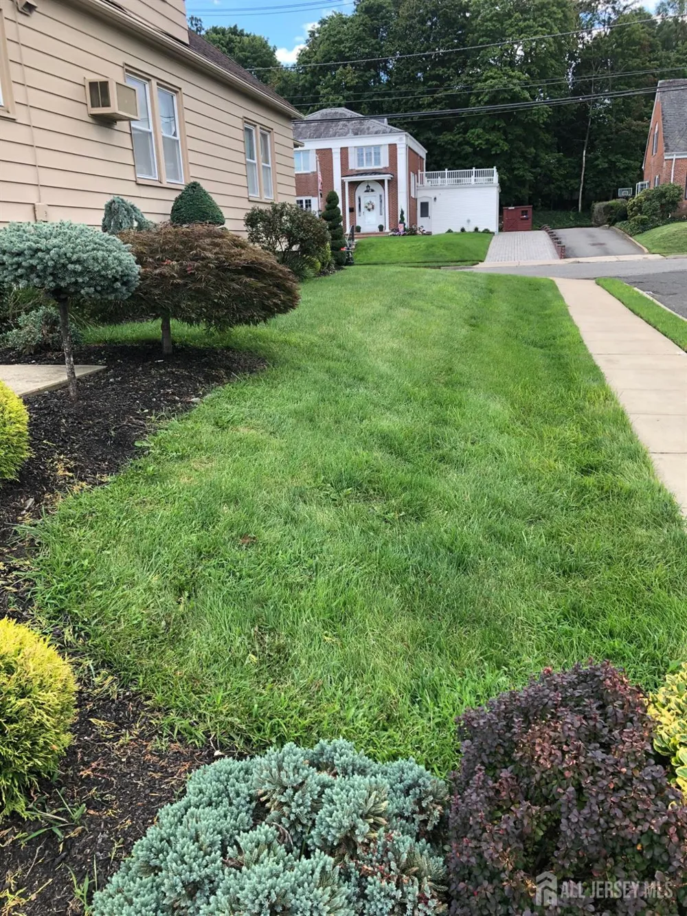 24 Wilcox Avenue South River, NJ 08882
