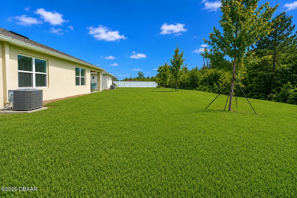 3221 Carpentaria Drive New Smyrna Beach, FL 32168