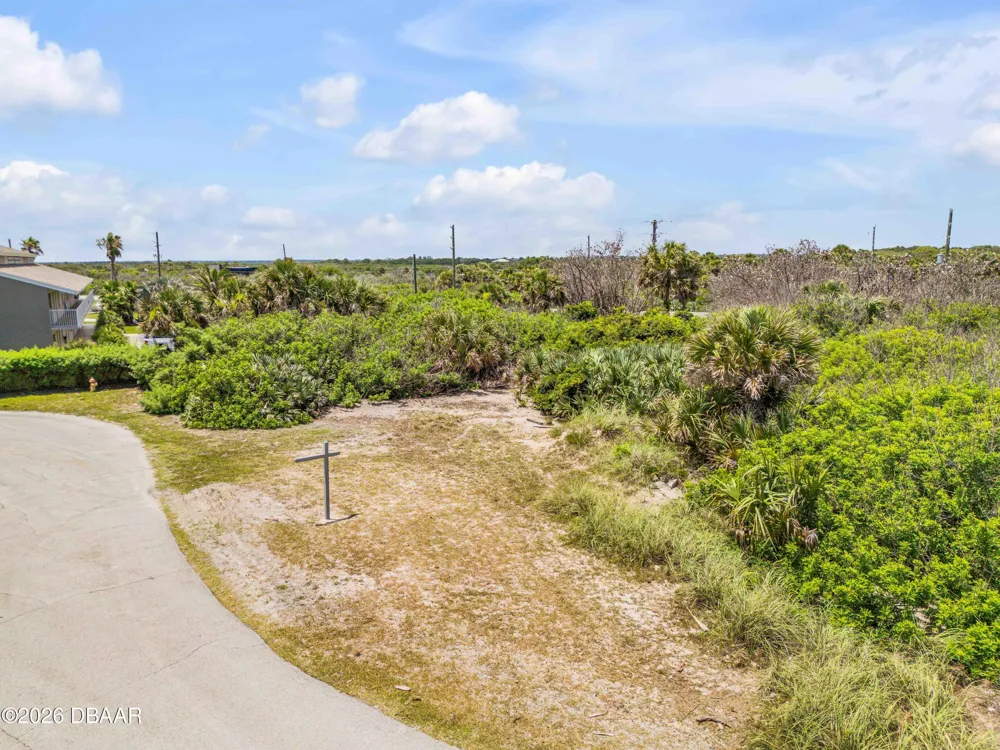 4732 Van Kleeck Drive New Smyrna Beach, FL 32169